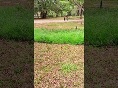 革新的な技術 屋外での冒険のための100Wポータブルソーラーパネル