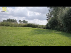 IBC ソーラーパネル